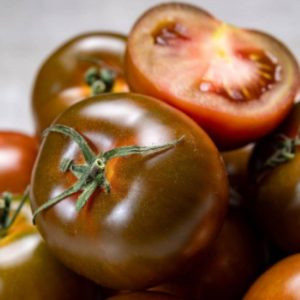 Special tomato