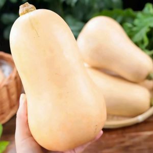Pumpkin